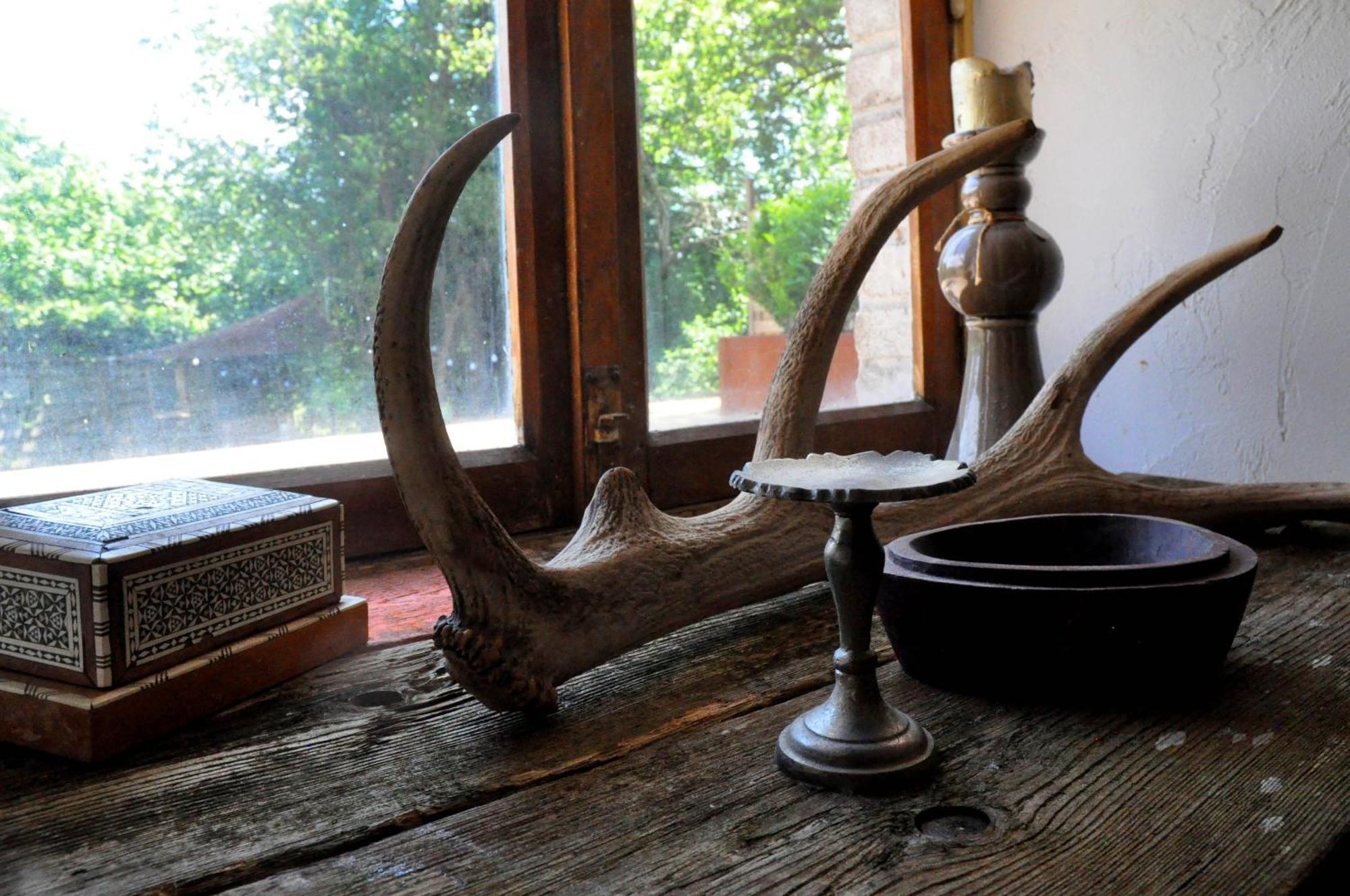 B&B Ferme1883 Lierneux 客房 照片